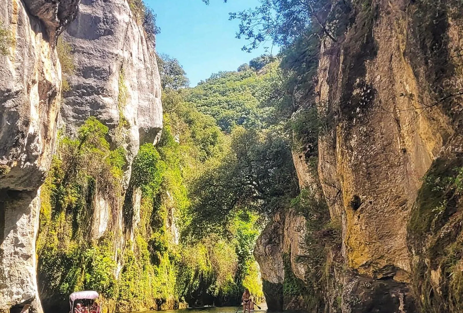 Gites Les Dryades, Au Calme, Entre Oliviers Et Piscine Salernes