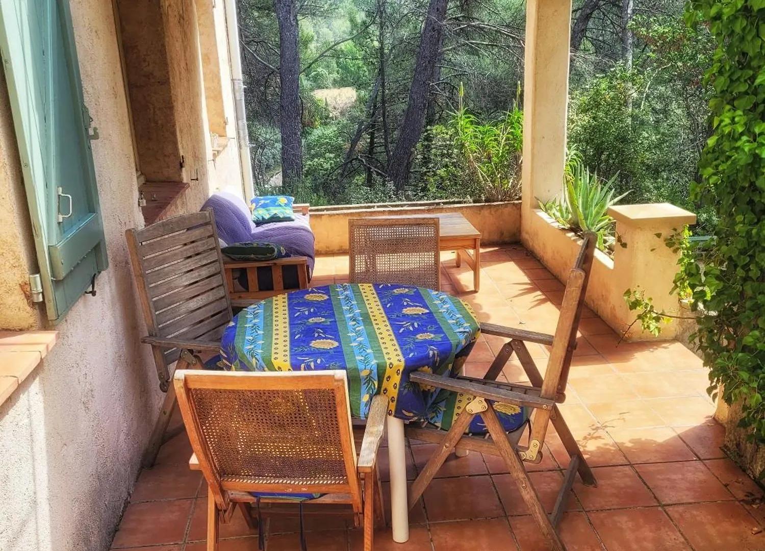 Gites Les Dryades, Au Calme, Entre Oliviers Et Piscine Salernes Hébergement de vacances